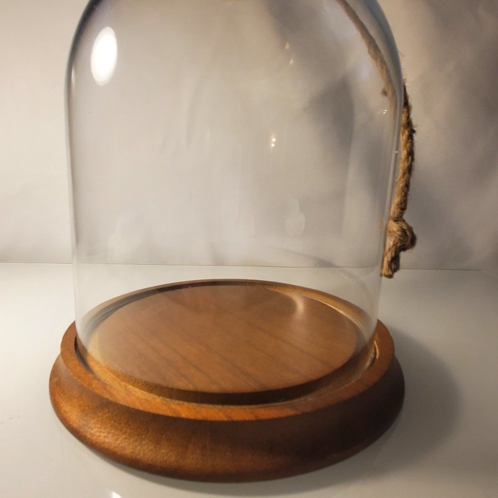 Glass Dome Terrarium / Display Case with Wood Base - Short NEW - Picture 4 of 4